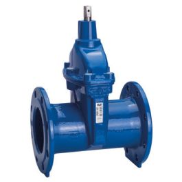 AVK09_90_Type1_Valve_DN100.jpg