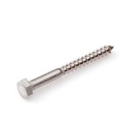 PROFTEC houtdrbout DIN571 RVS 8X50 à20
